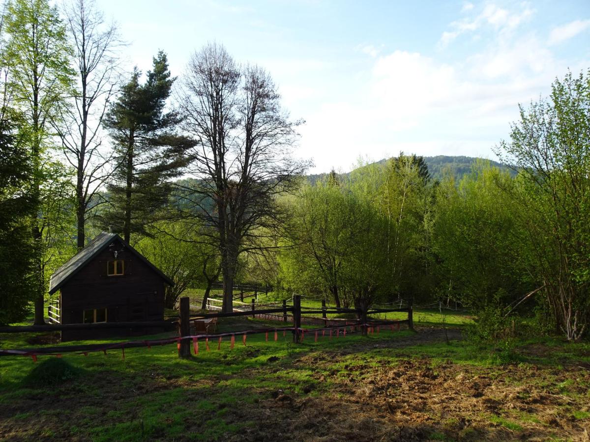 B&B Ujsoły - Domek myśliwski w górach - Bed and Breakfast Ujsoły