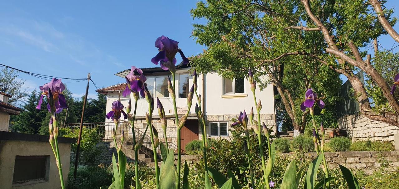Стая за гости "Ирина" - B&B Balchik