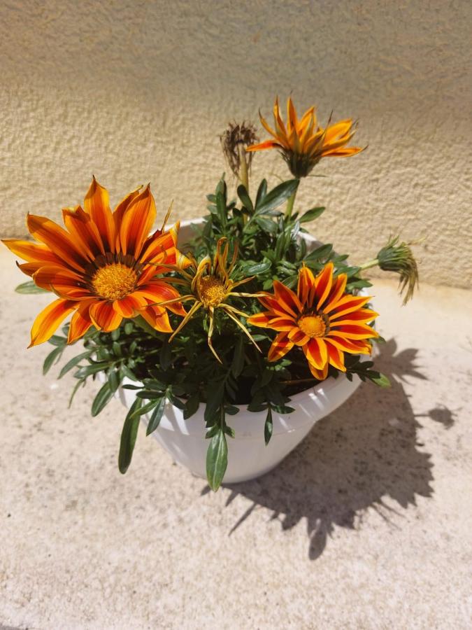 Appartement met 1 Slaapkamer