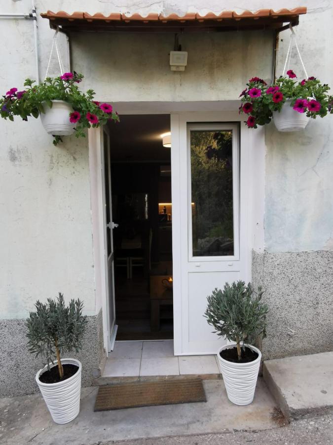 Apartment with garden - Ferienwohnung Vela Luka