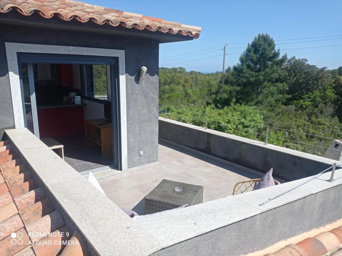 Chez J, appartement à l'étage, T3 - B&B Lecci