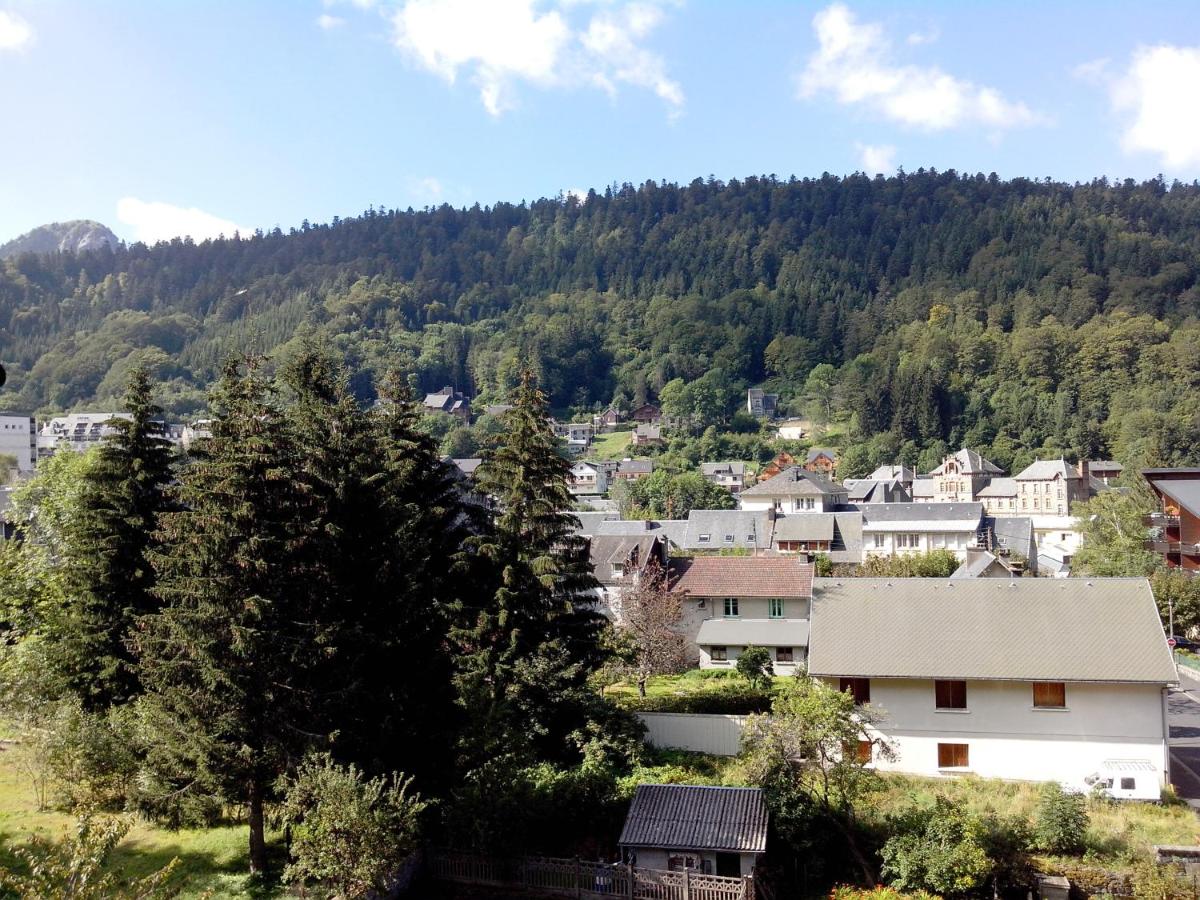 La Maison des Familles 10 appartements - Bed and Breakfast Mont-Dore
