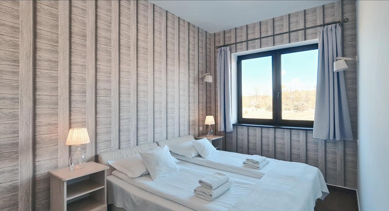 Standard Suite