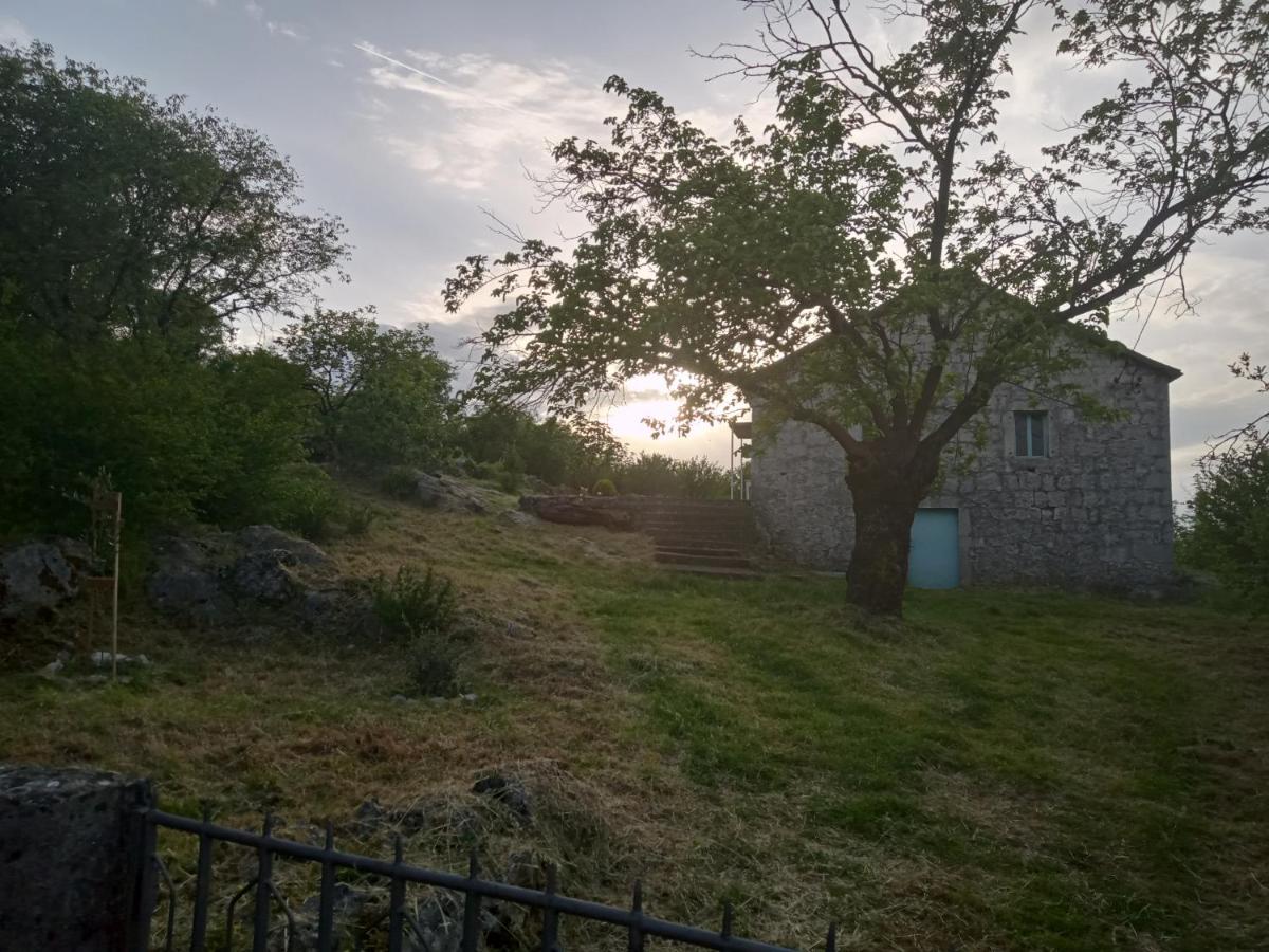 Country stone house Kovacevic - B&B Danilovgrad