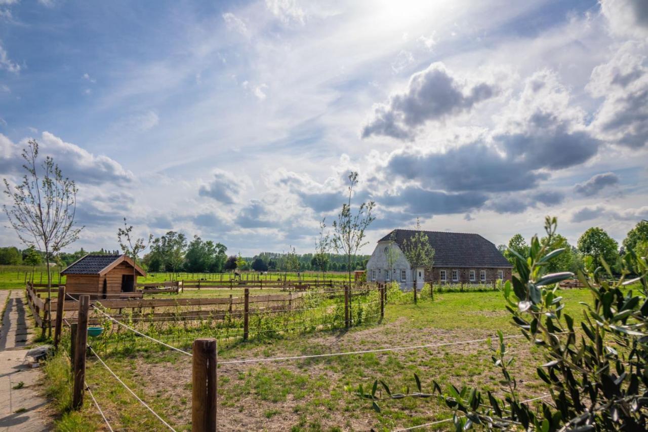 B&B Hoeve Klein Haneveld - Ferienwohnung Sint-Oedenrode