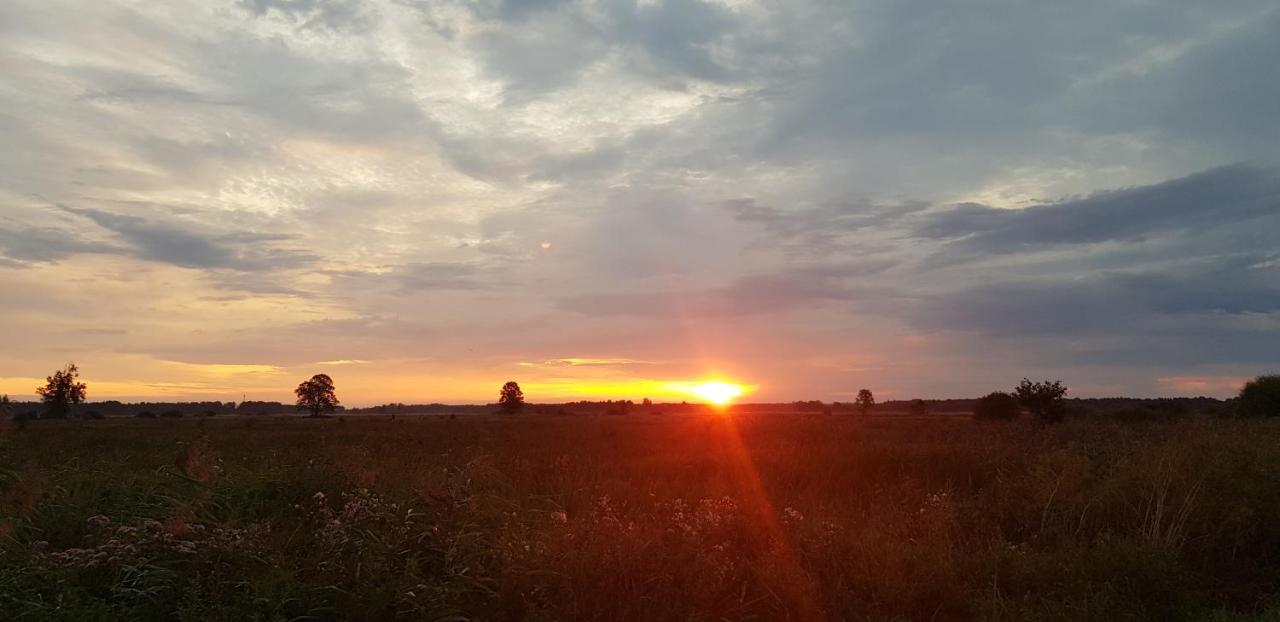 Zdalnie z Lasu - Siedlisko w Puszczy Białowieskiej