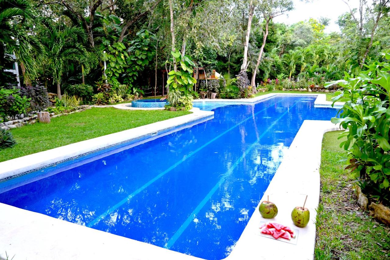 GLASS JUNGLE VILLA with amazing green views -10 min DT - B&B Playa del Carmen