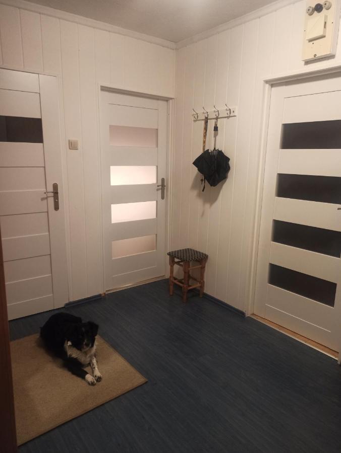 Apartament za rogiem Papierni - B&B