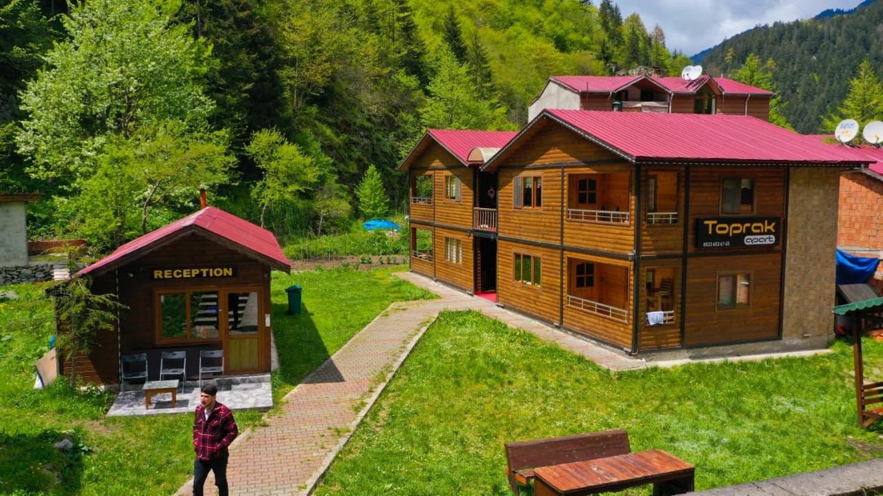 New toprak pansiyon - B&B Uzungöl