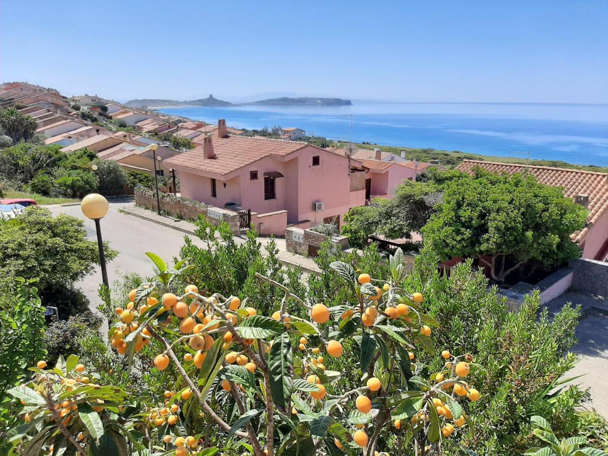 Il giglio vista mare - Chambres d’hôtes Funtana Meiga