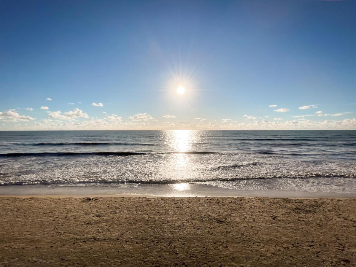 Au85, Bel appartement, vue océan, pied de la plage - B&B