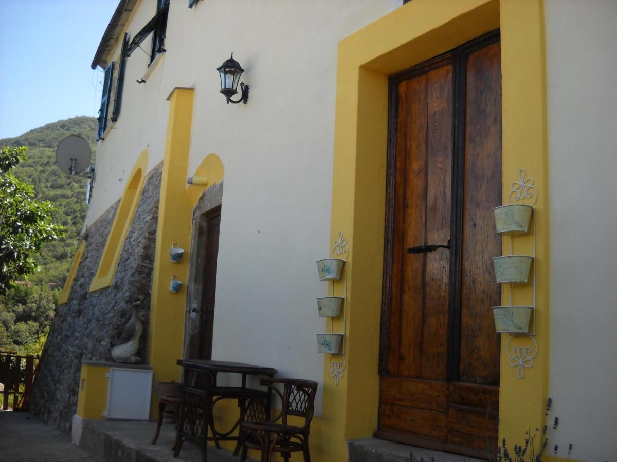 Apartment mit Terrasse
