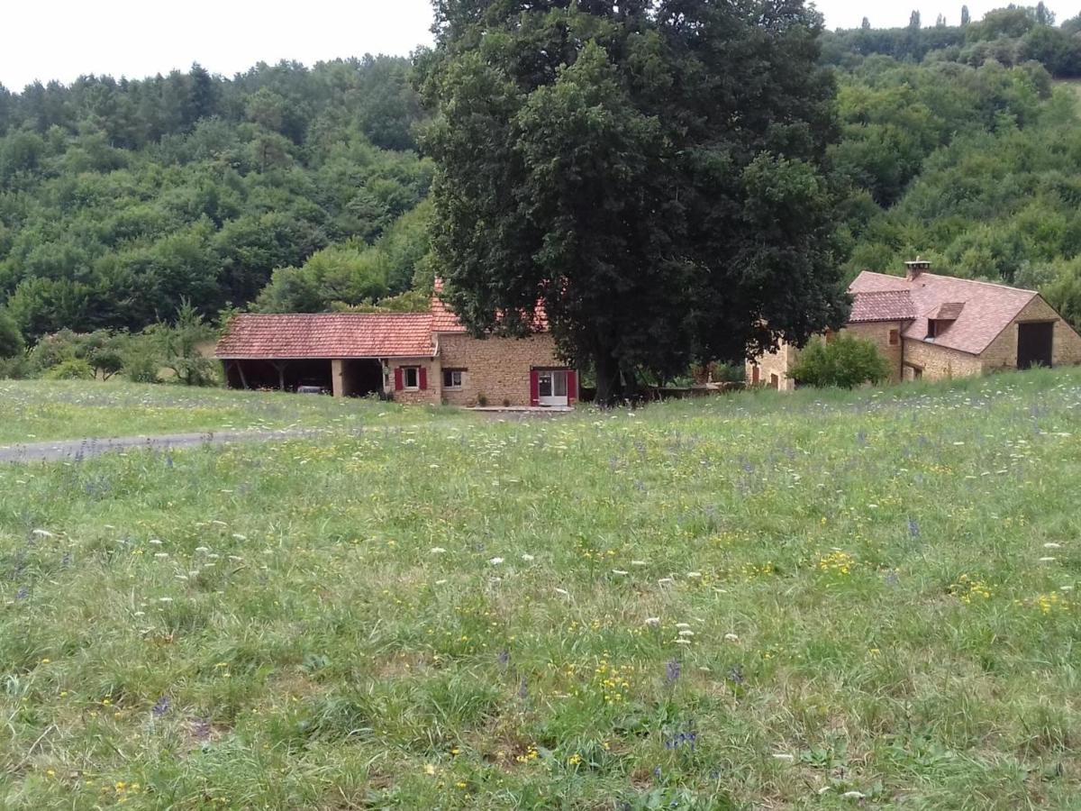 Maison indépendante à Saint-Vincent-le-Paluel - 6 personnes, animaux admis - Chambres d'hôtes Saint-Vincent-le-Paluel