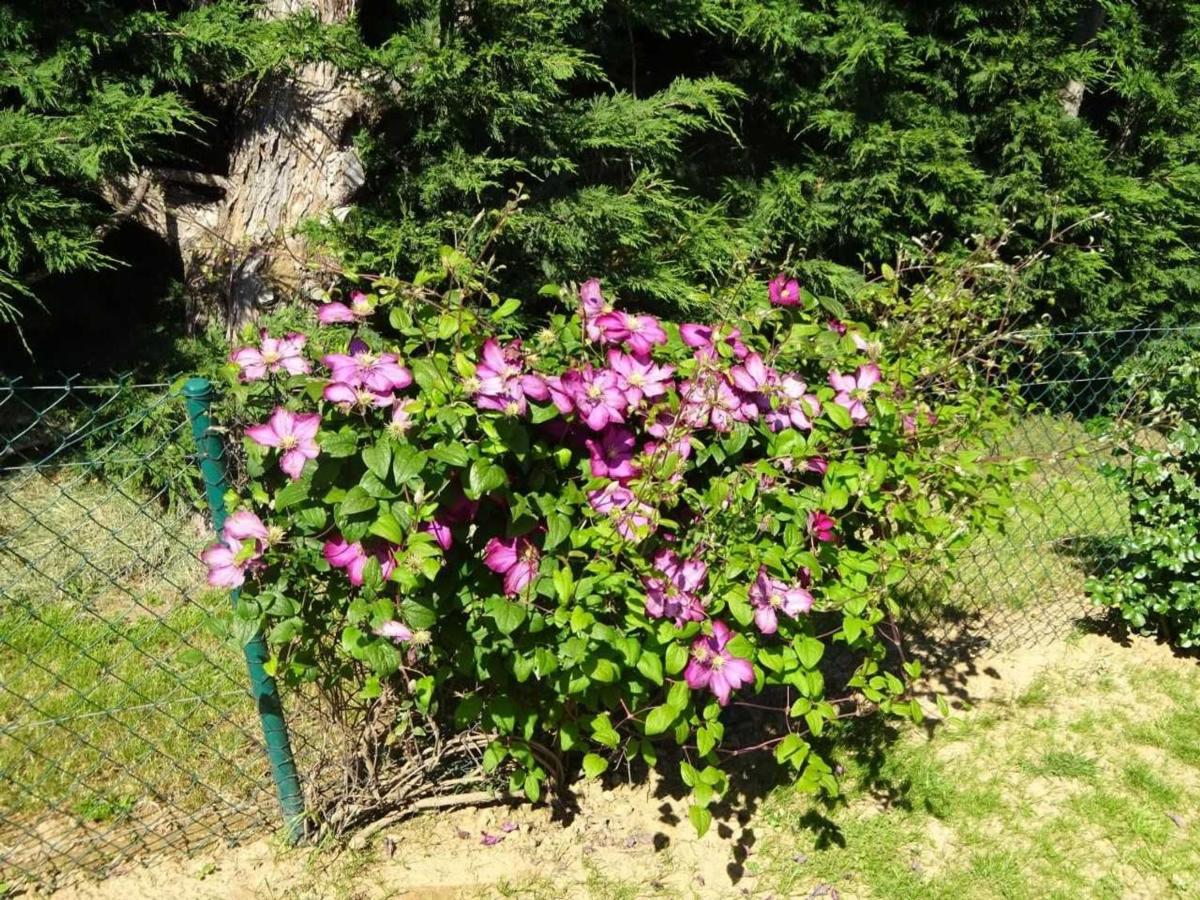 Charmant gîte cozy près du Mans avec jardin, terrasse, proche commodités et activités. - FR-1-410-336 - B&B Rouillon