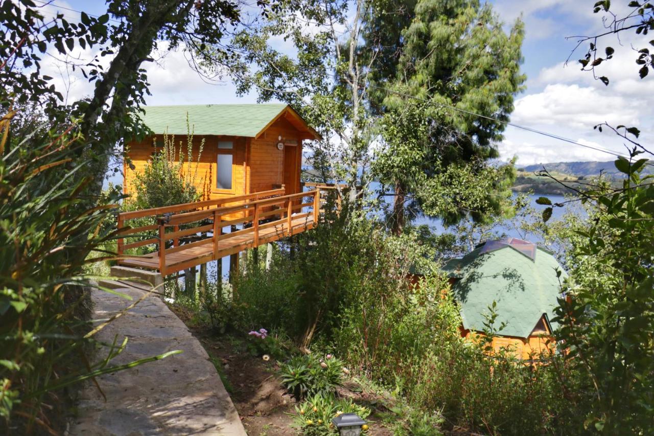 Estudio con terraza