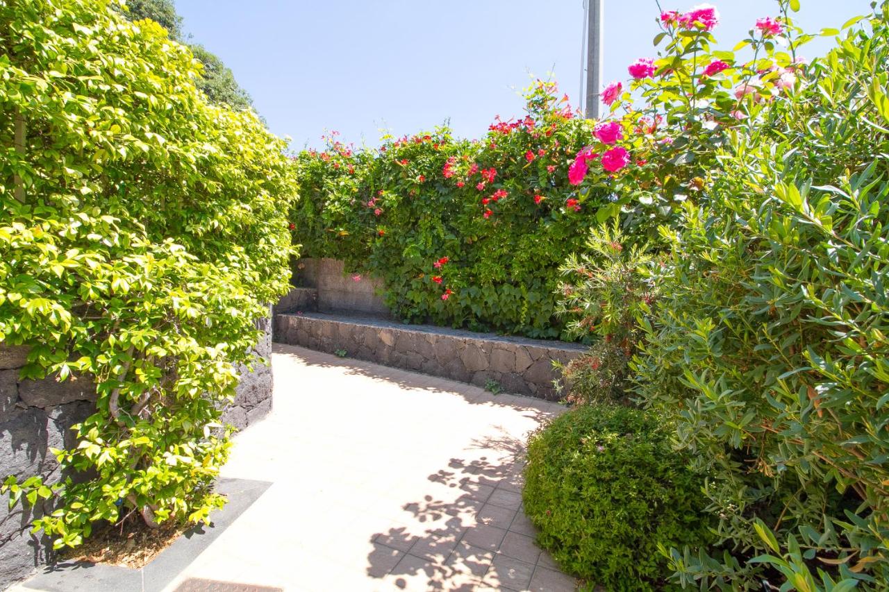 Appartement - Vue sur Jardin
