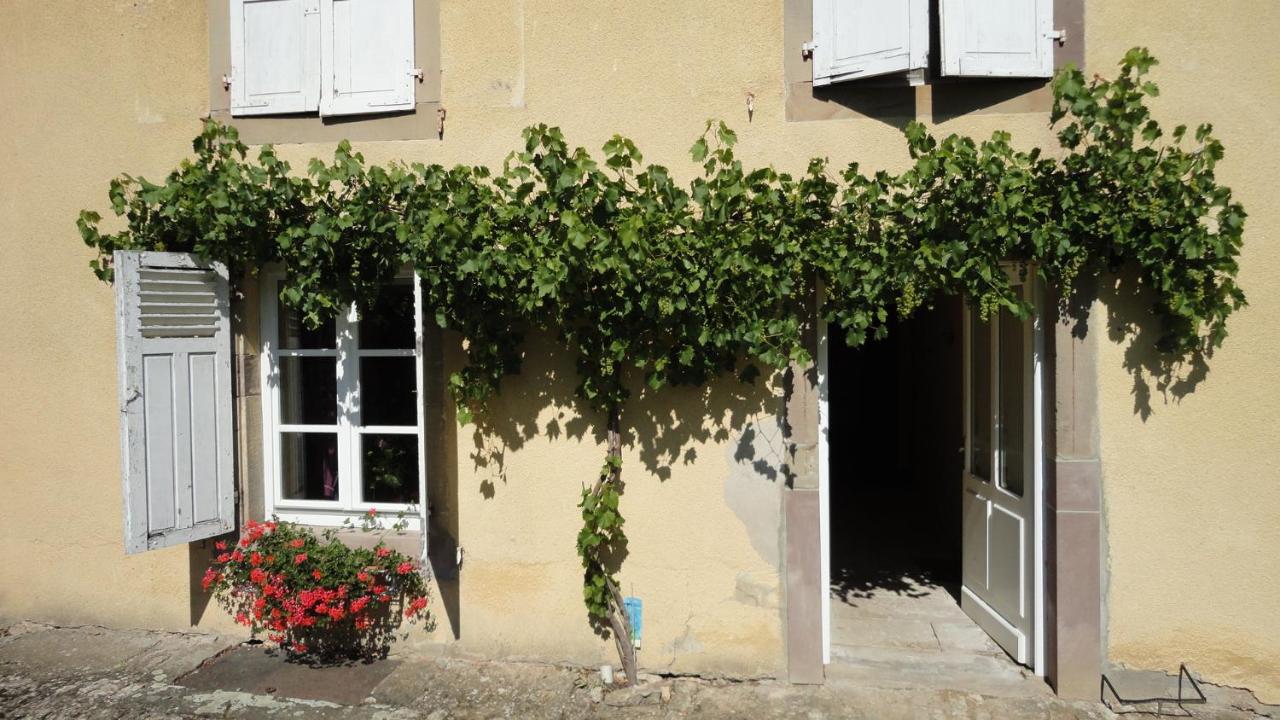Suite Standard
