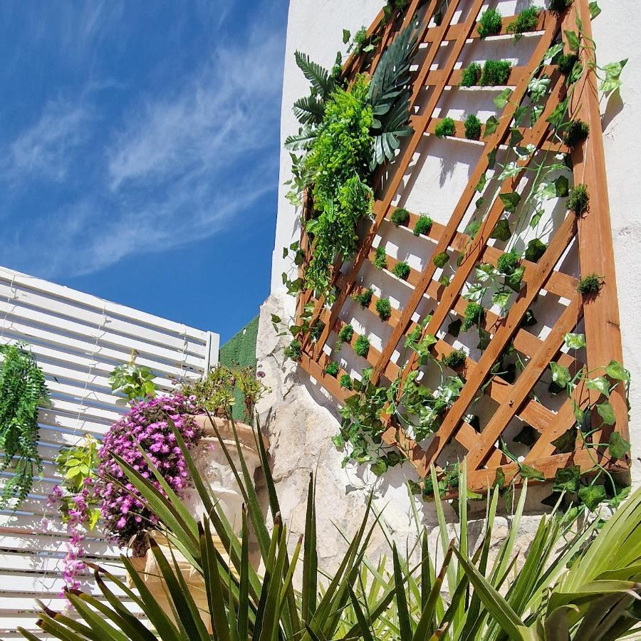 Il Gioiello del Circeo - B&B San Felice Circeo