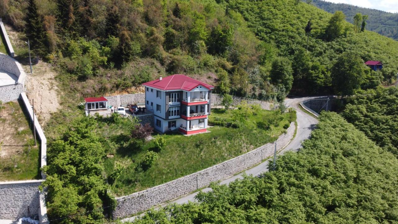 B&B Trabzon - GARDEN PALACE VILLA - Bed and Breakfast Trabzon