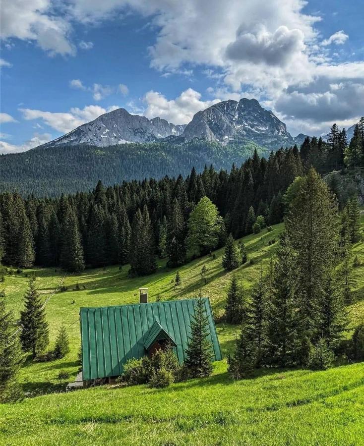 B&B Zabljak - MAGIC MOUNTAIN - Bed and Breakfast Zabljak