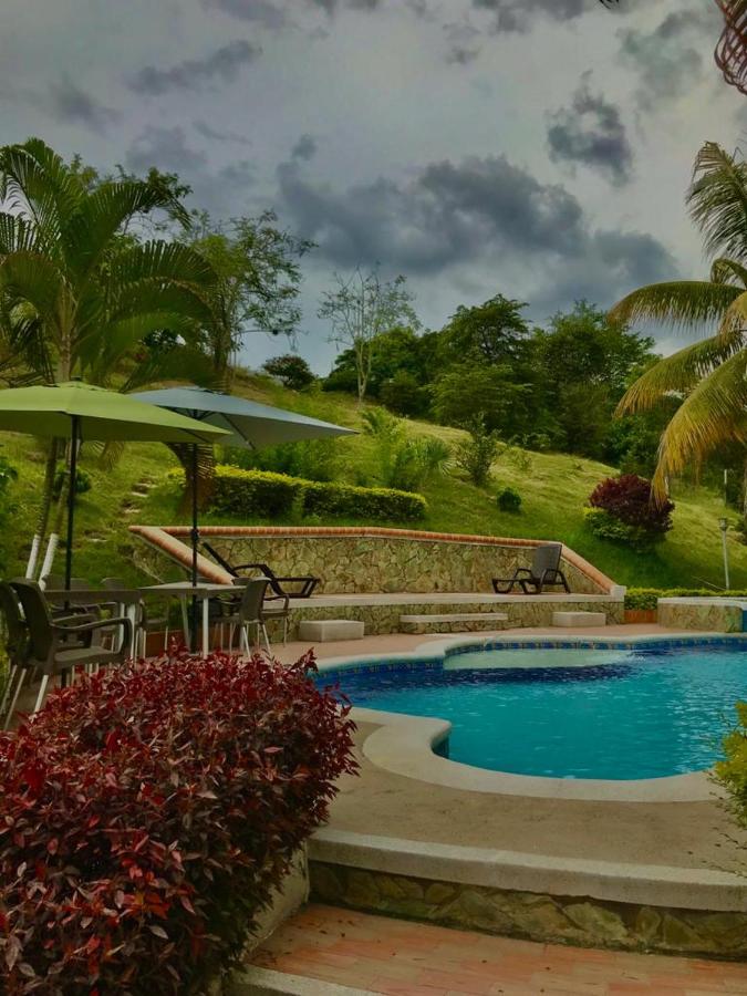 Finca Mirador la Giralda - B&B Roldanillo