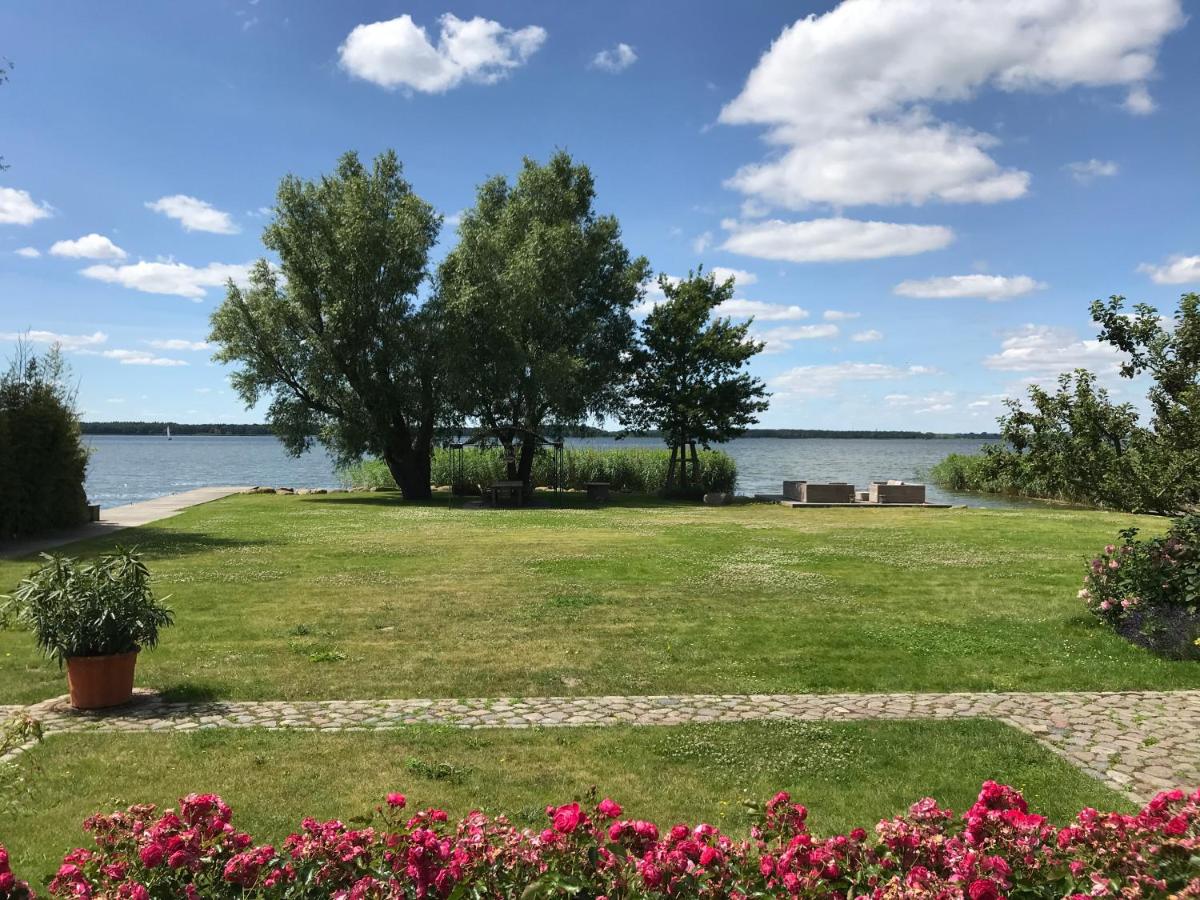 B&B Rankwitz - Peeneblick - Traumhaus direkt am Wasser mit eigenem Bootssteg für 8 Personen - Bed and Breakfast Rankwitz