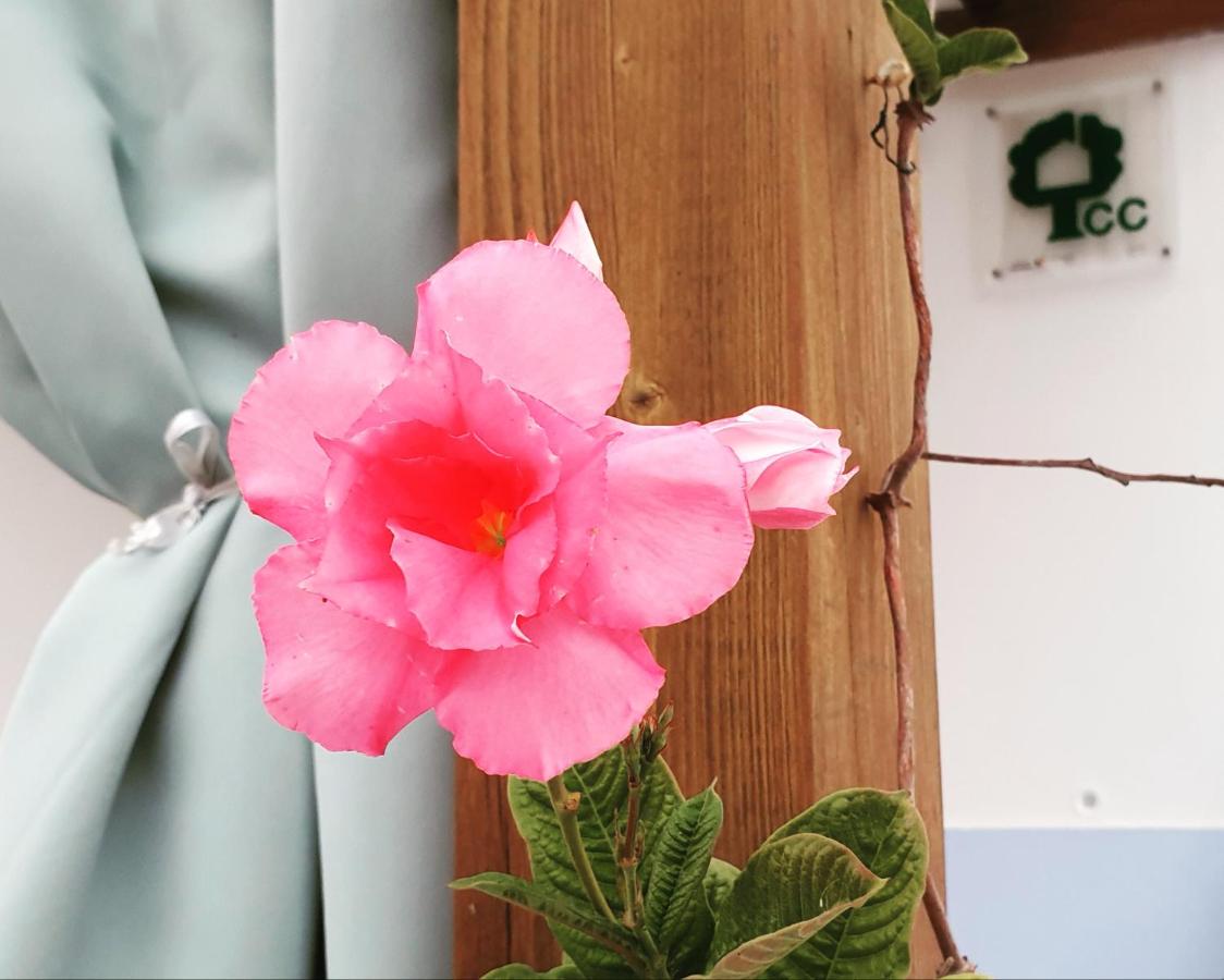 Monte da Xara - Ferienwohnung Aljezur