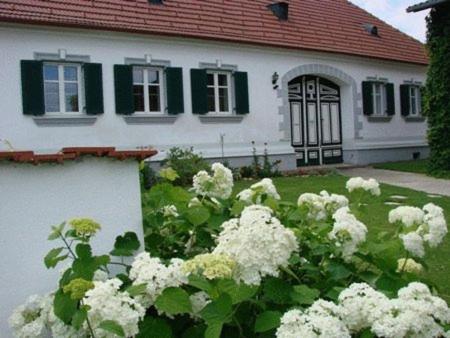 B&B Markt Allhau - Arkadenhof Kurtz - Bed and Breakfast Markt Allhau