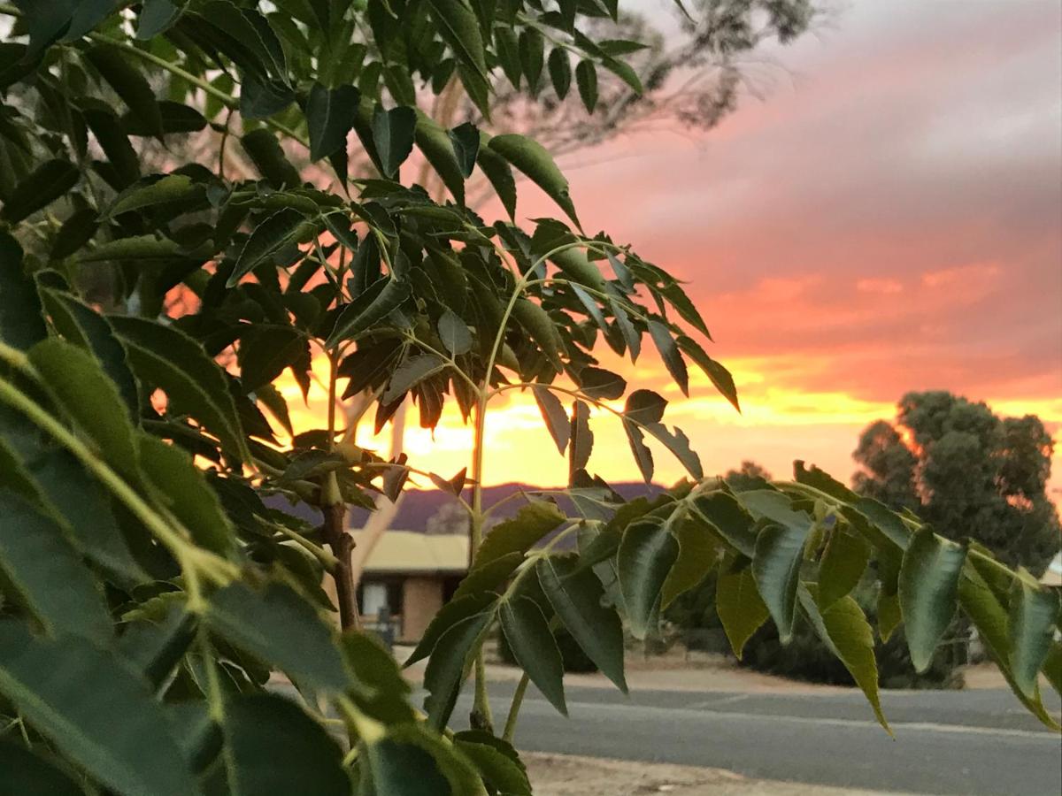 Birdsong Gardens - B&B Quorn