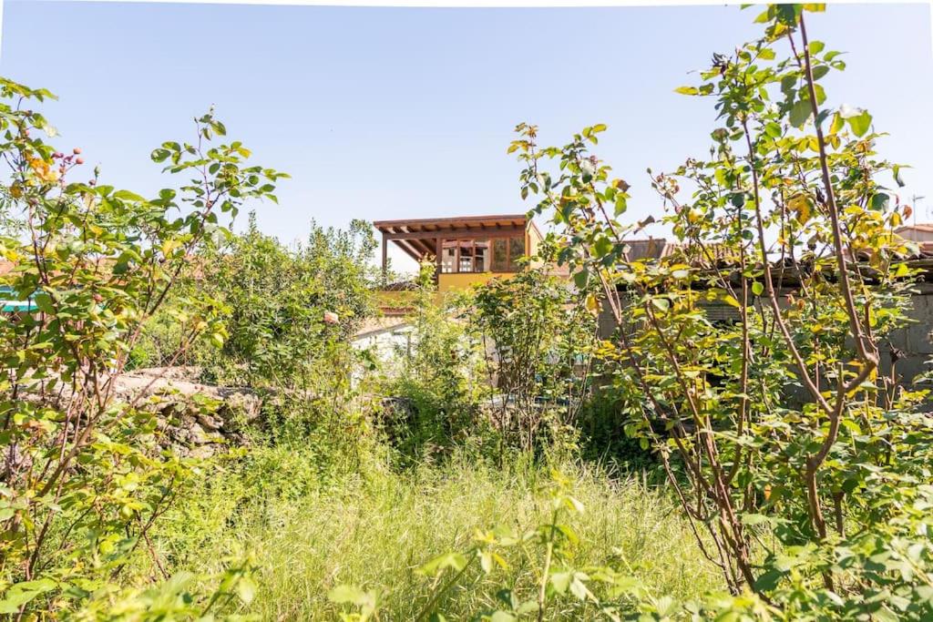 Casa La Vera Rural - B&B