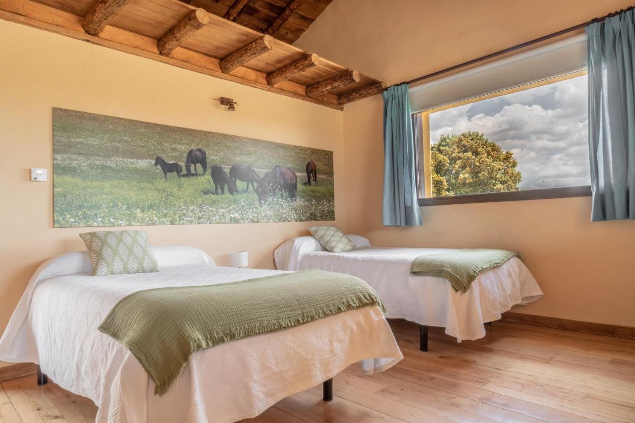 Chambre Double Familiale