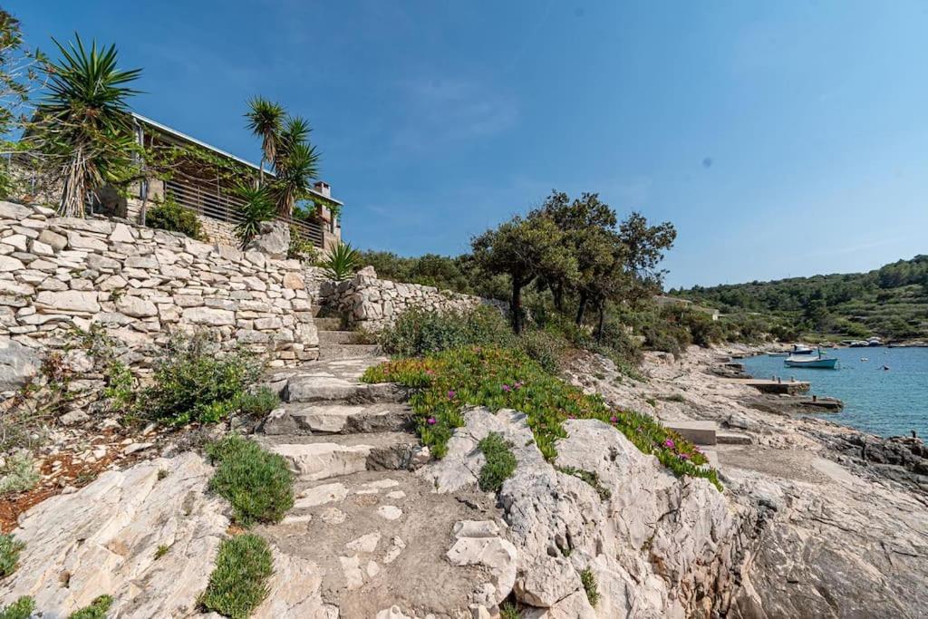 B&B Vela Luka - Seaside Holiday Home Vinka - Bed and Breakfast Vela Luka