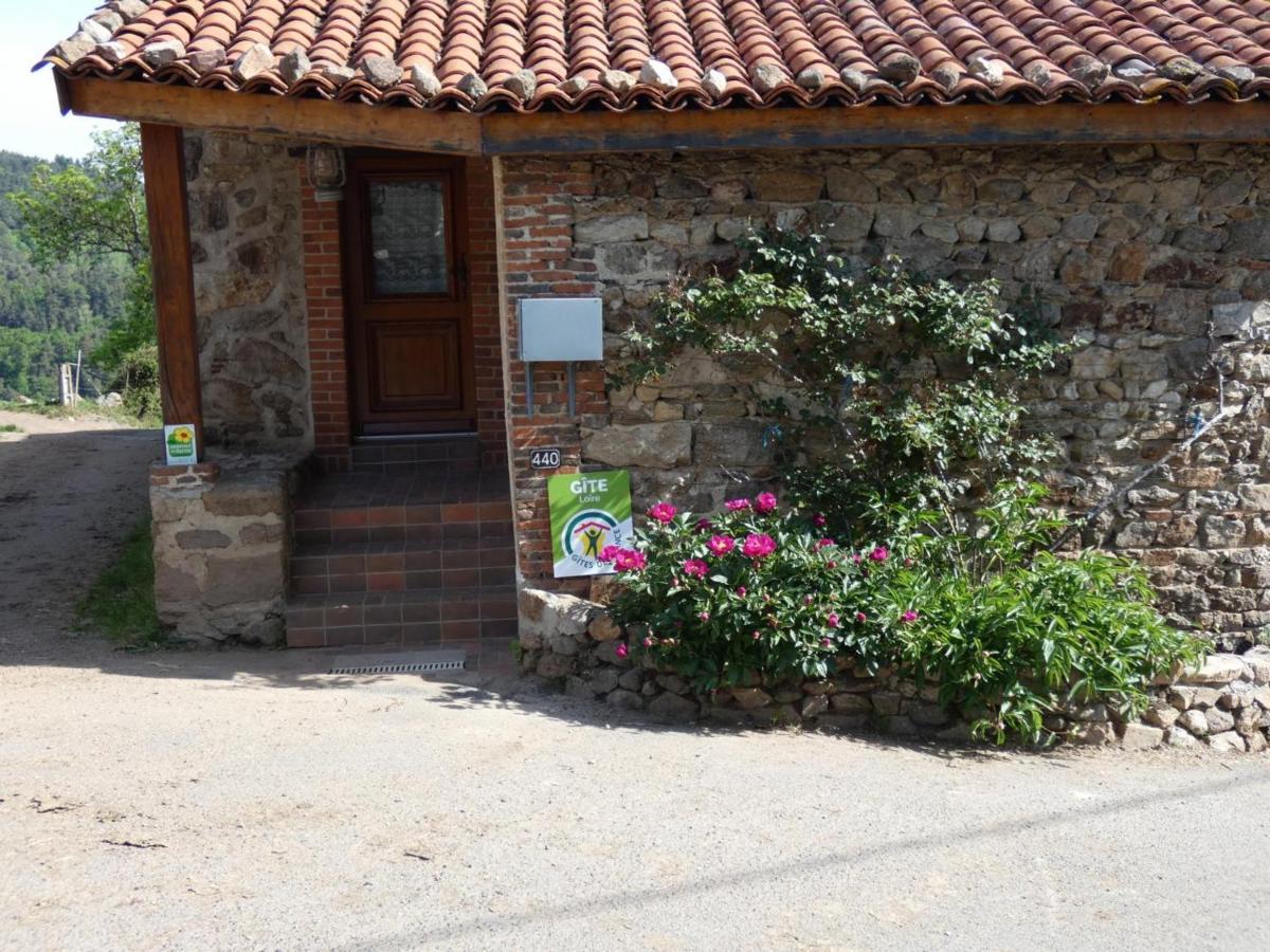 Charmante maison avec poêle et salon ombragé à Pralong - FR-1-496-261 - Ferienwohnung