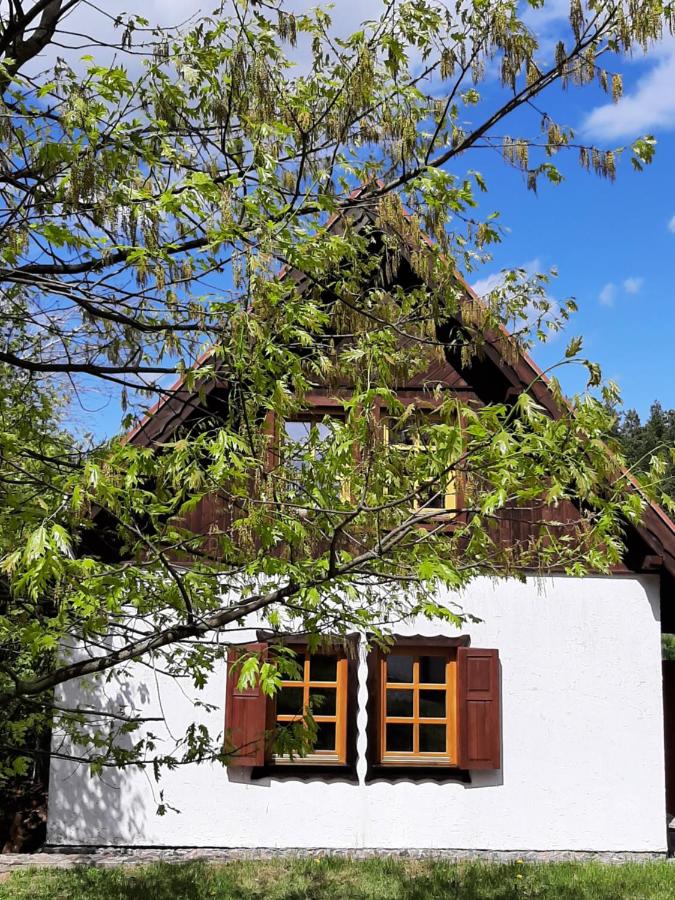 B&B Zełwągi - Siedlisko Mazurskie koło Mikołajek - Bed and Breakfast Zełwągi