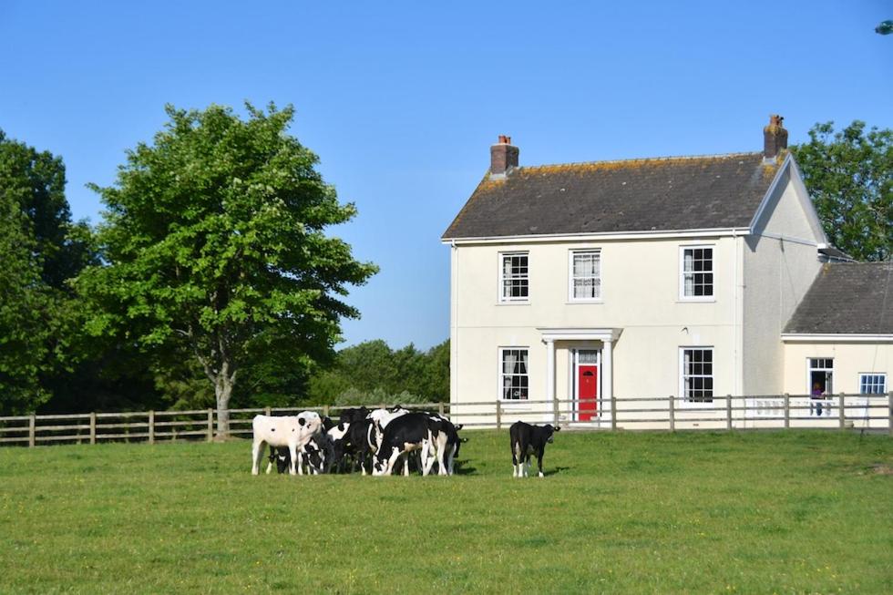 B&B Carmarthen - Glascoed Farmhouse - Bed and Breakfast Carmarthen