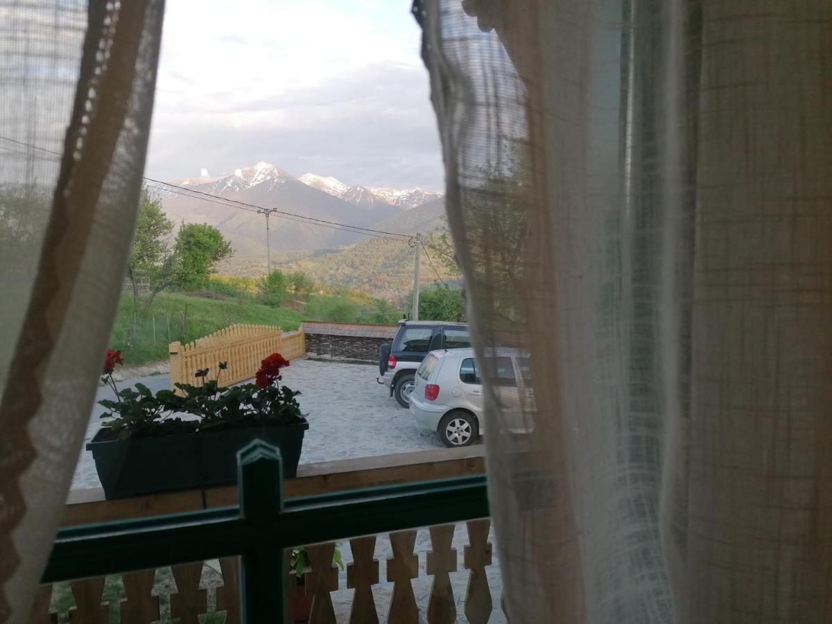 Pensiunea Căsuța din Deal - Ferienwohnung Moisei
