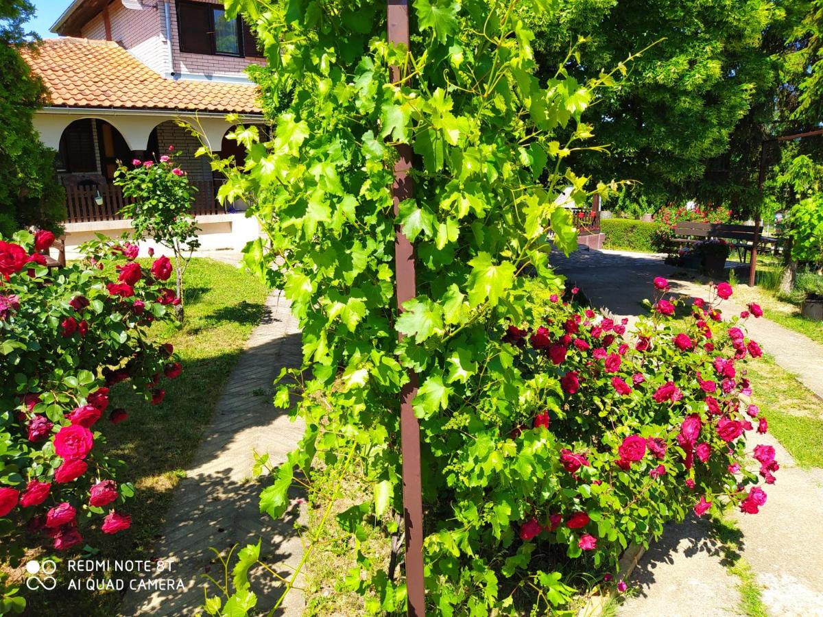 Dečiji vinogradi Belgrade, Sopot, Kosmaj - Chambres d'hôtes Sopot