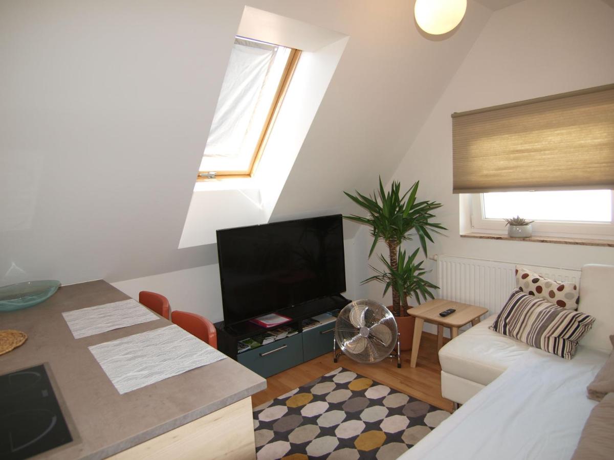 Studio with Garden View