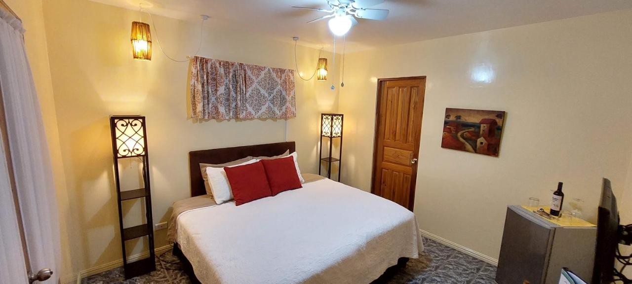 Camera King Standard