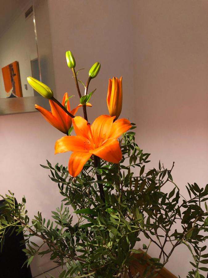 Denia Deluxe Chillout Experience - B&B