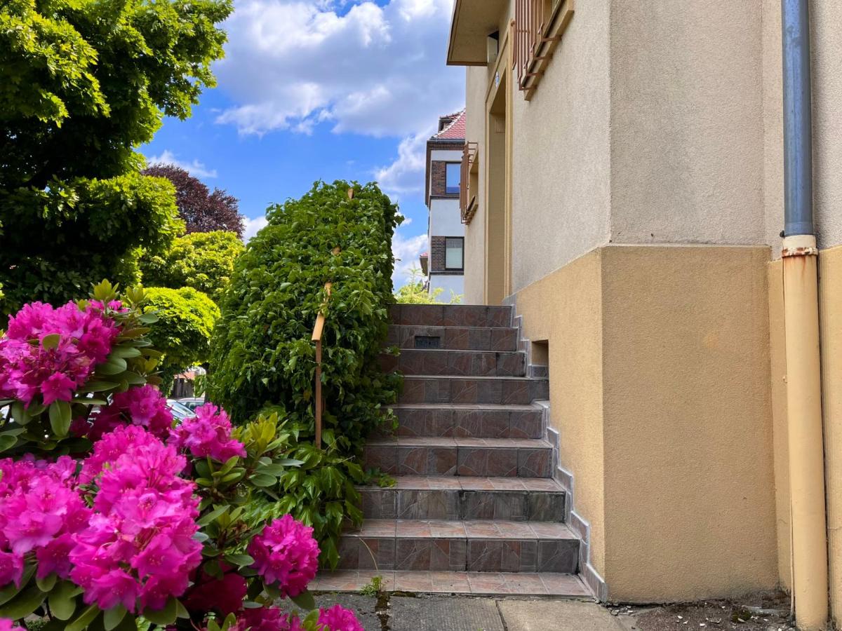 Kleines Studio am Uni-Campus - Perfekt für junge Unternehmungslustige - B&B Dresda