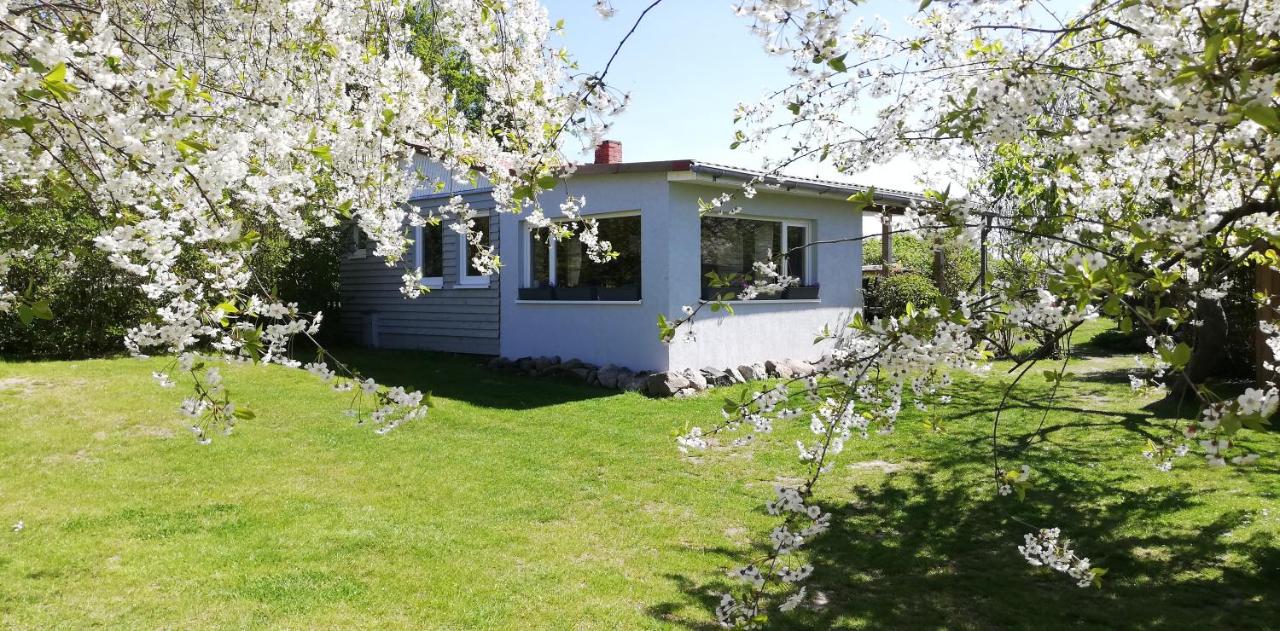 Appartement met uitzicht op de tuin