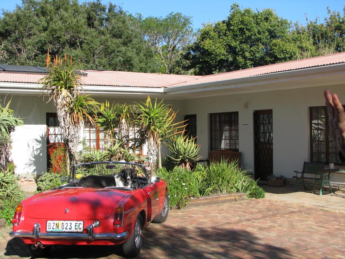 Kaiser's Guesthouse - Bed and Breakfast Grahamstown