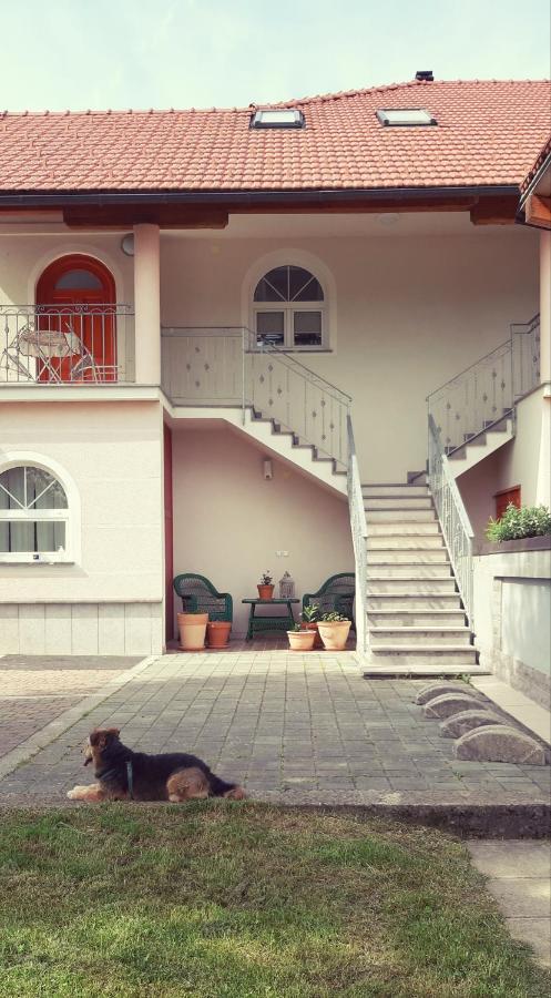 Prenočišča Angelin hram, Tiny Apartments - B&B