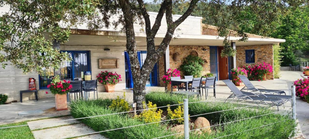 Casa Rural Madre del Agua. Finca El Robledillo - B&B Monesterio