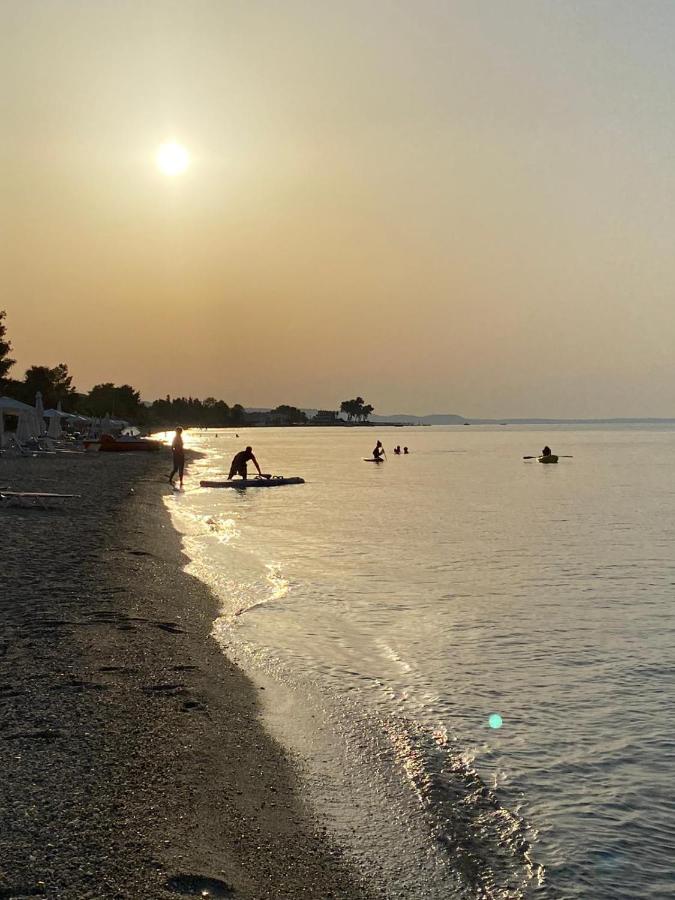 Beautiful apartment by center of Pefkochori Chalkidiki - B&B
