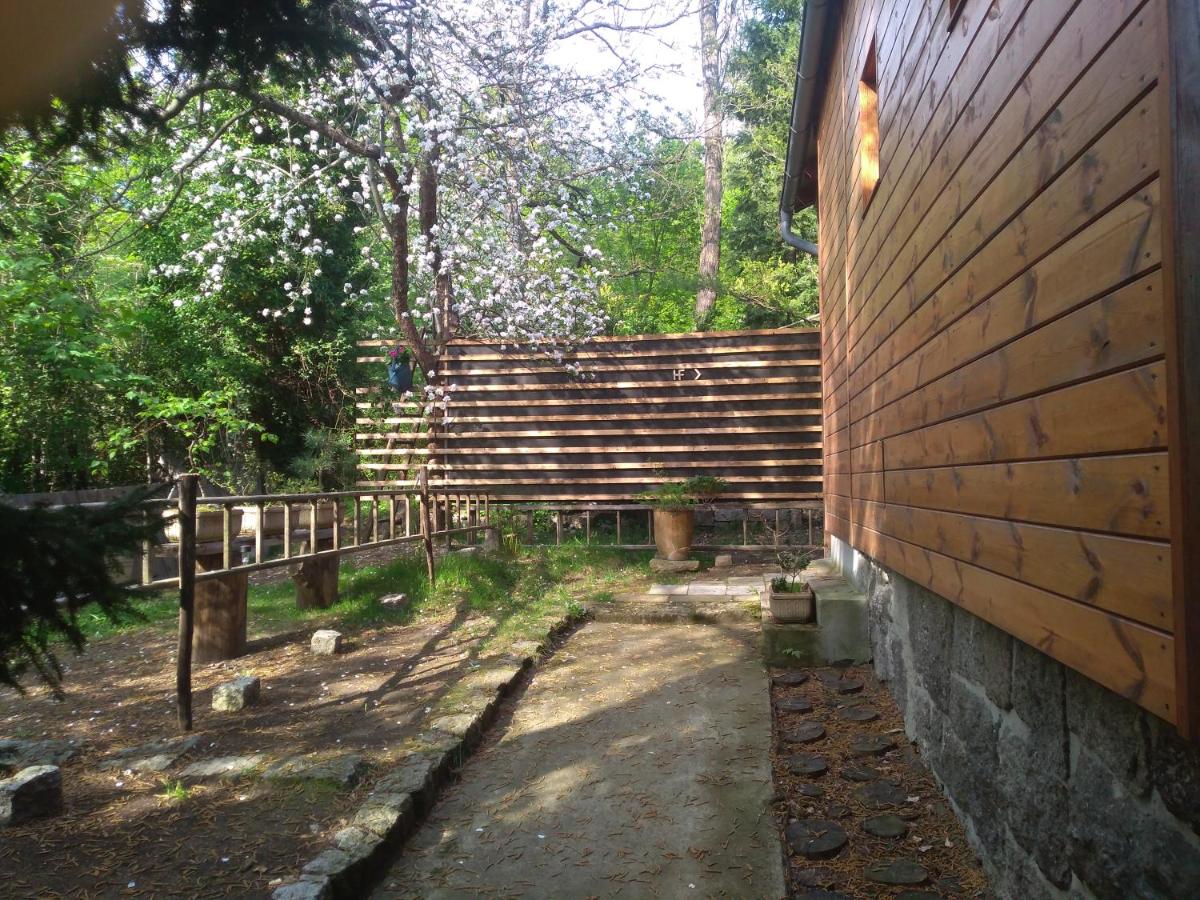 Apartman HF - B&B