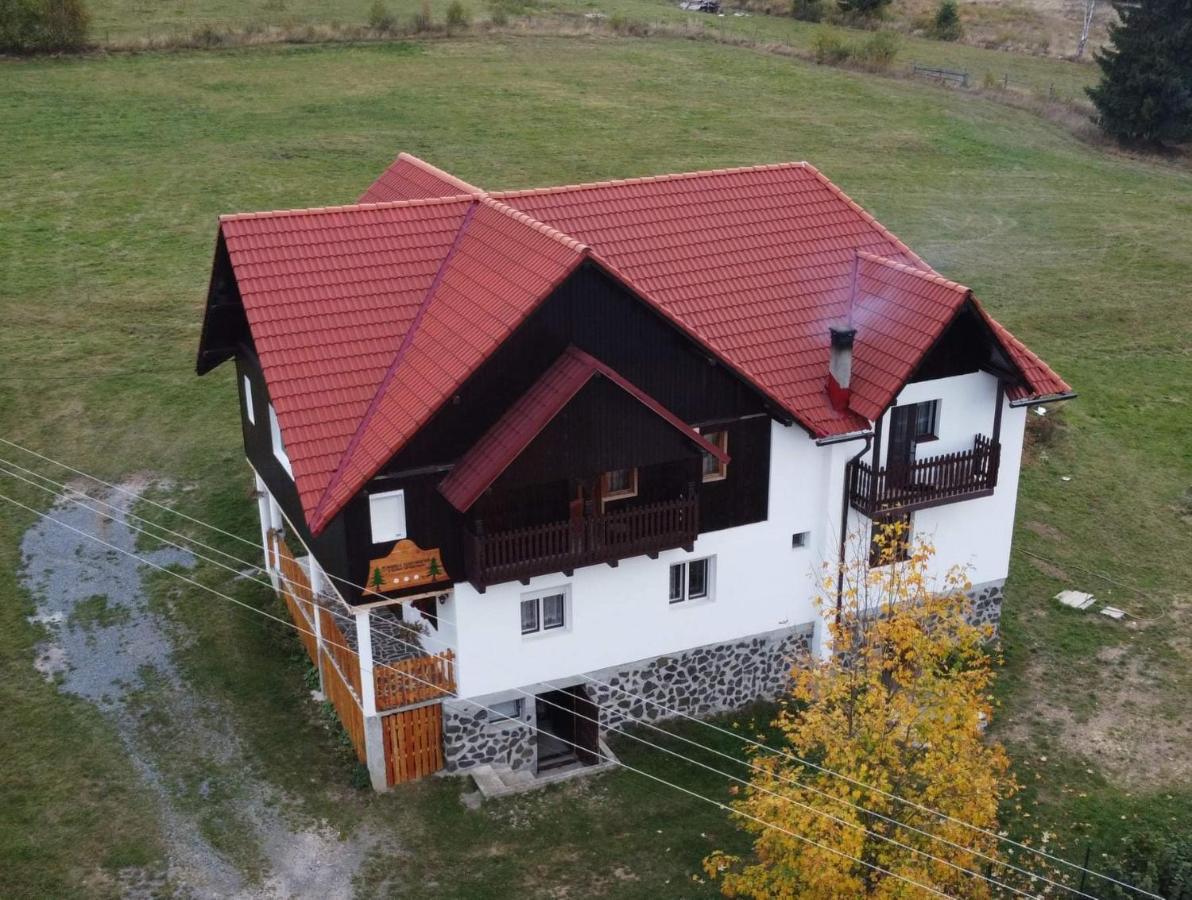 Pensiunea Steaua Apusenilor - B&B