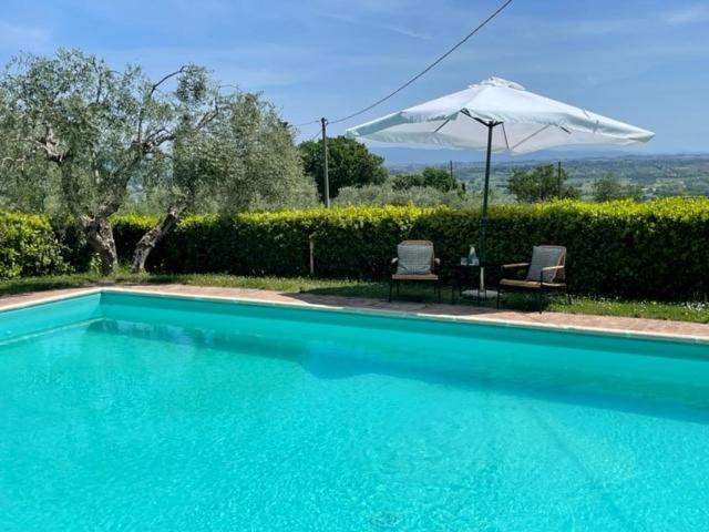 Podere Zelmira - Chambres d’hôtes Sinalunga