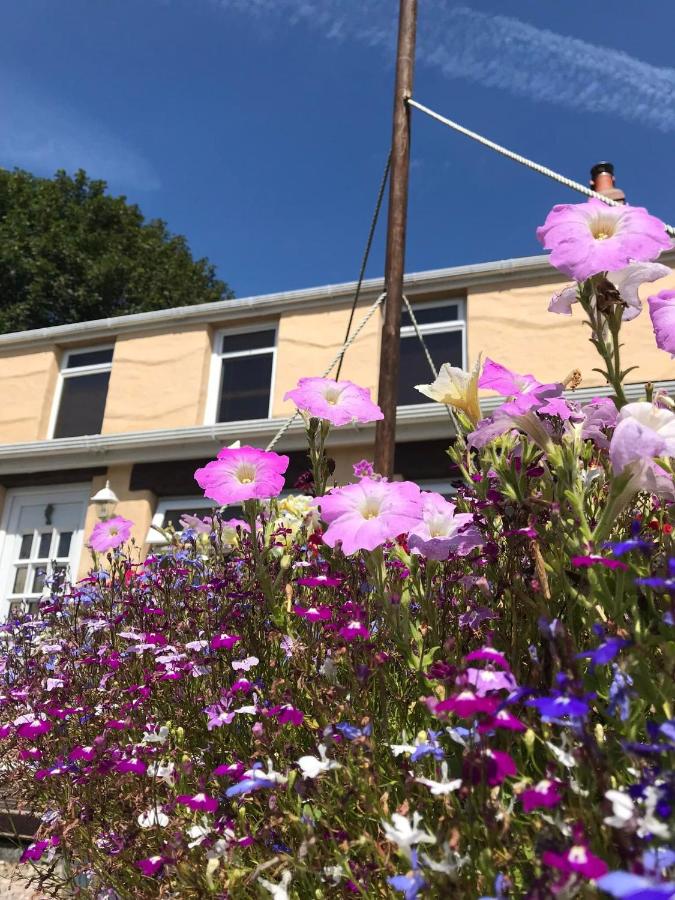 B&B Tenby - Habititabities - Bed and Breakfast Tenby